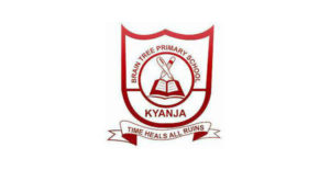 Brain Tree Primary School